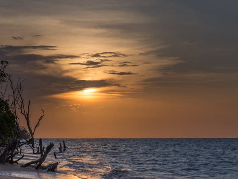 Suriname: Jungle, History, and Creole Flavors