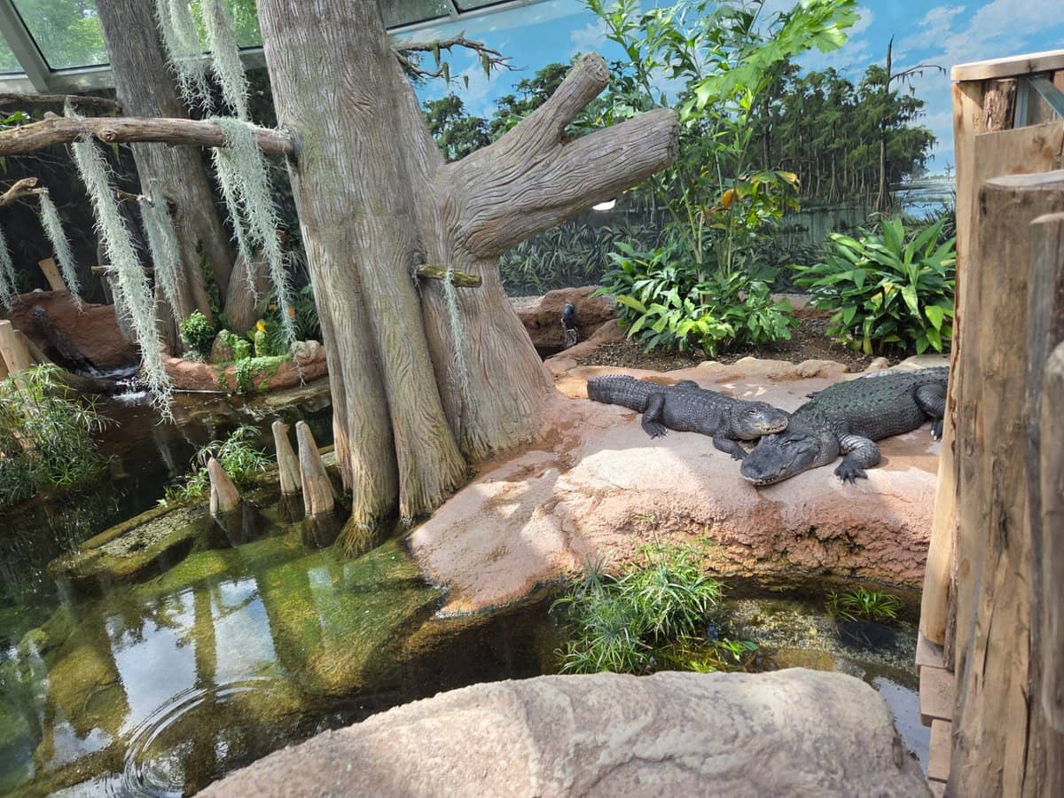 Today, we visited the zoo in Leipzig, Germany. It