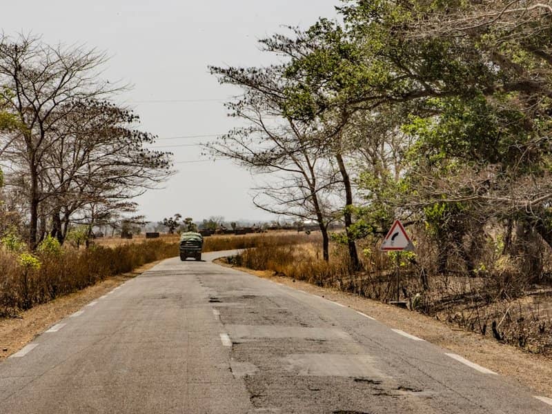 Cameroon calling: nature & hiking in September!