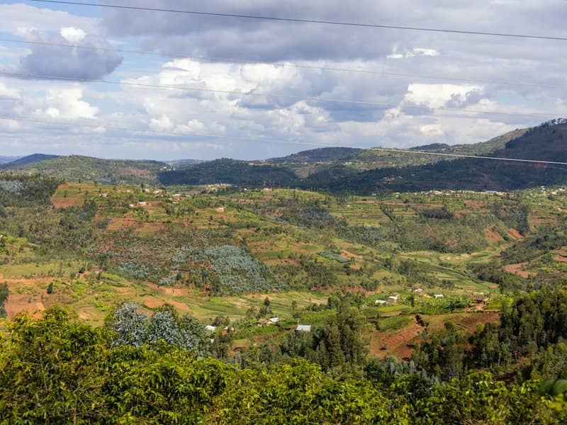 Rwanda in December: Gorillas, Volcanoes, and Maybe You?